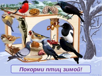 Эколого-культурная акция "Птицам будем помогать нашу зиму зимовать!" 